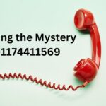 Decoding the Mystery of 01174411569: Unraveling the Enigma