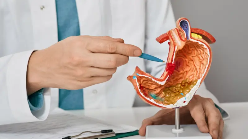 Common Causes of Digestive Discomfort and How to Find Relief